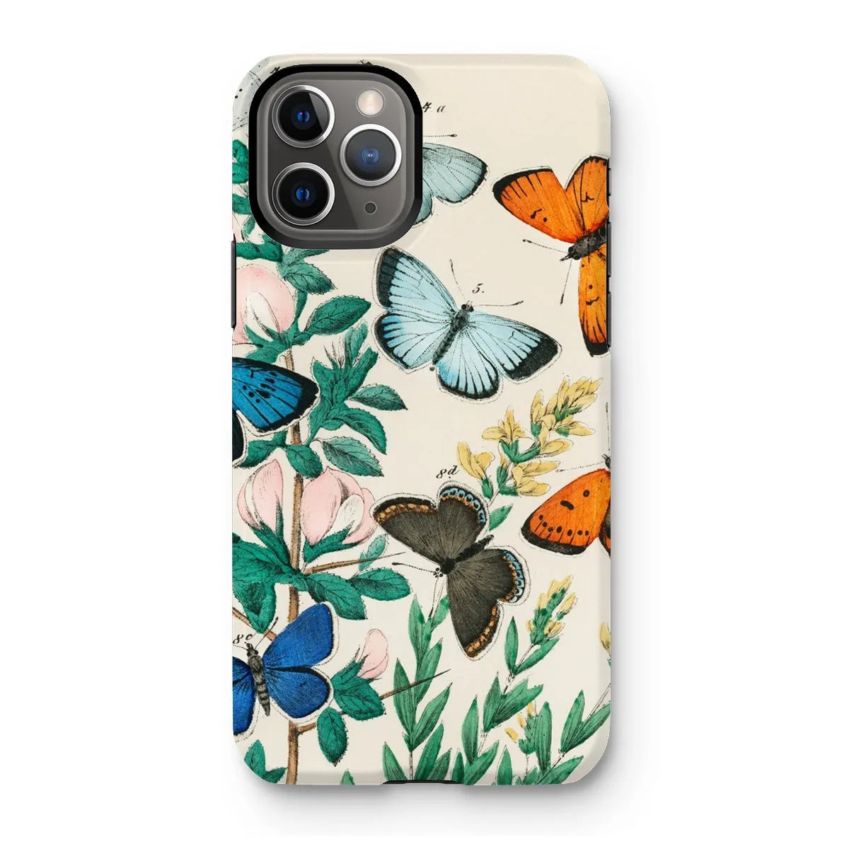 European Butterflies And Moths Art Phone Case - William Forsell Kirby - Iphone 11 Pro / Matte - Mobile Phone Cases