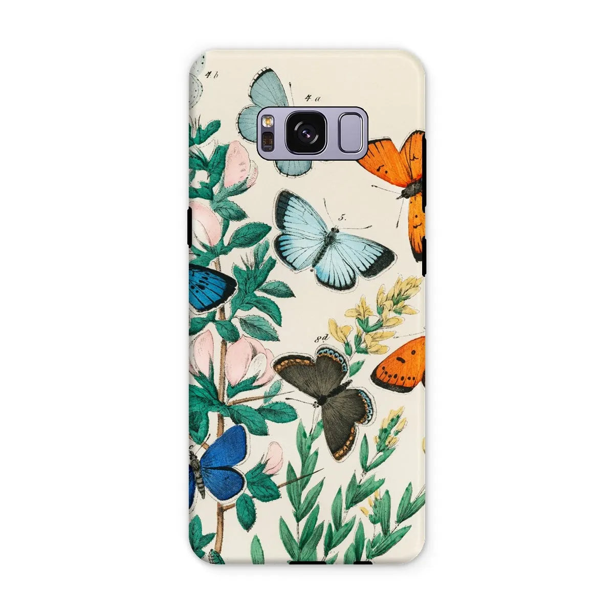 European Butterflies And Moths Art Phone Case - William Forsell Kirby - Samsung Galaxy S8 Plus / Matte - Mobile Phone