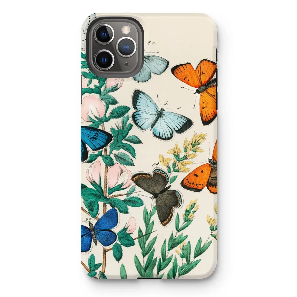 European Butterflies And Moths Art Phone Case - William Forsell Kirby - Iphone 11 Pro Max / Matte - Mobile Phone Cases