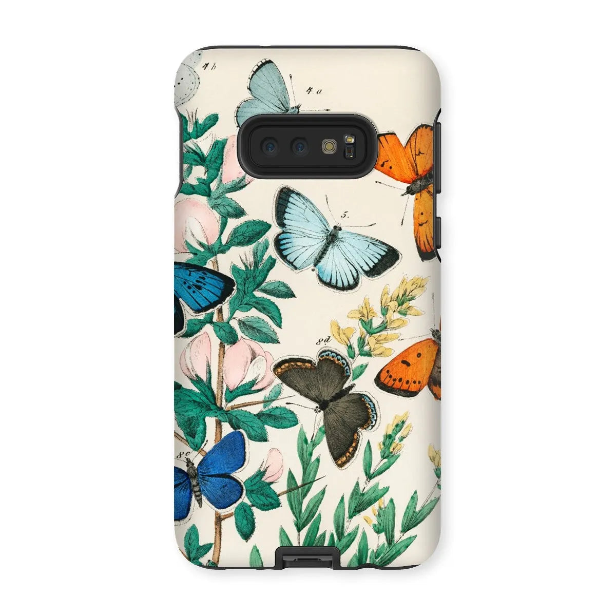 European Butterflies And Moths Art Phone Case - William Forsell Kirby - Samsung Galaxy S10e / Matte - Mobile Phone