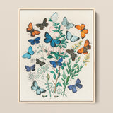 Framed Botanical Illustration Vibrant Array Butterflies Shades Blue William Forsell Kirby, Victorian Naturalist’s Paradise, European