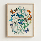 Framed Botanical Illustration Vibrant Array Butterflies Shades Blue William Forsell Kirby, Victorian Naturalist’s Paradise, European