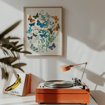 European Butterflies & Moths - William Forsell Kirby Art Print / Canvas Orange Record Player Desk Lamp Attached William Forsell Kirby,