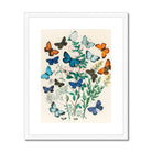 European Butterflies & Moths William Forsell Kirby Art Print, Colorful Butterflies Among Delicate Green Foliage Botanical Illustration