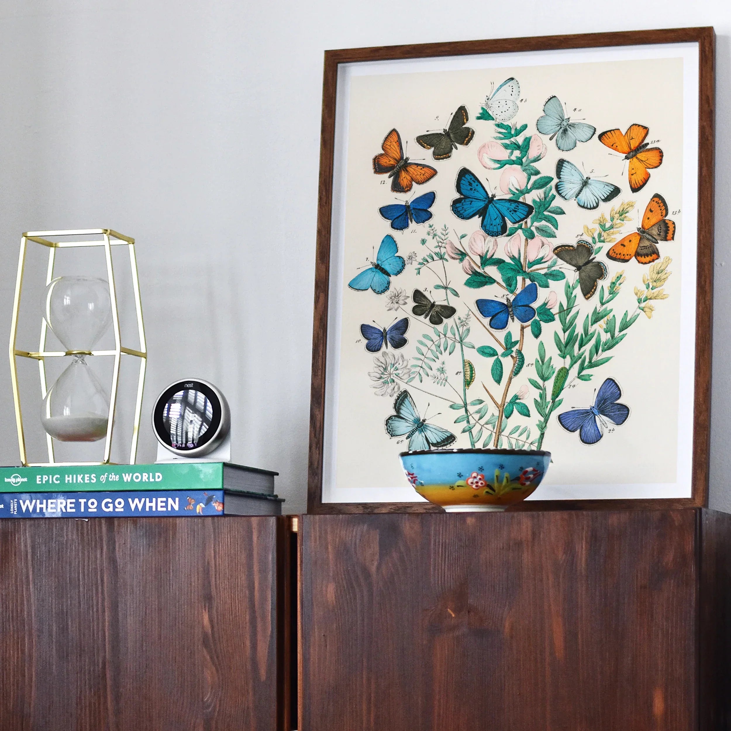 European Butterflies & Moths - William Forsell Kirby Art Print, Framed Botanical Artwork Colorful Butterflies Delicate