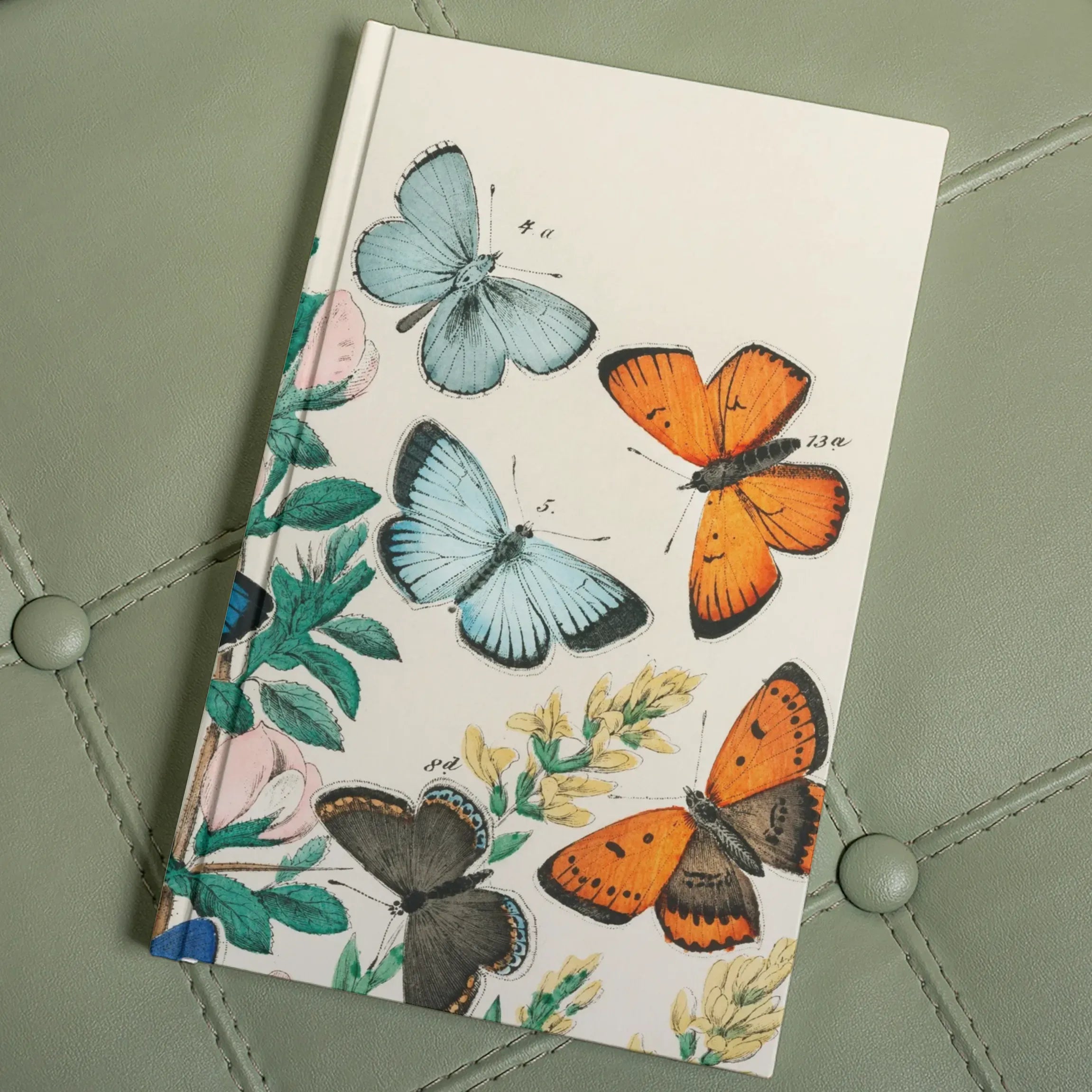 European Butterflies And Moths By William Forsell Kirby Hardback Journal - Notebooks & Notepads - Aesthetic Art