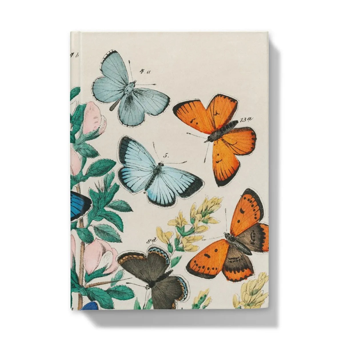 European Butterflies And Moths By William Forsell Kirby Hardback Journal - 5’x7’ / Lined - Notebooks & Notepads