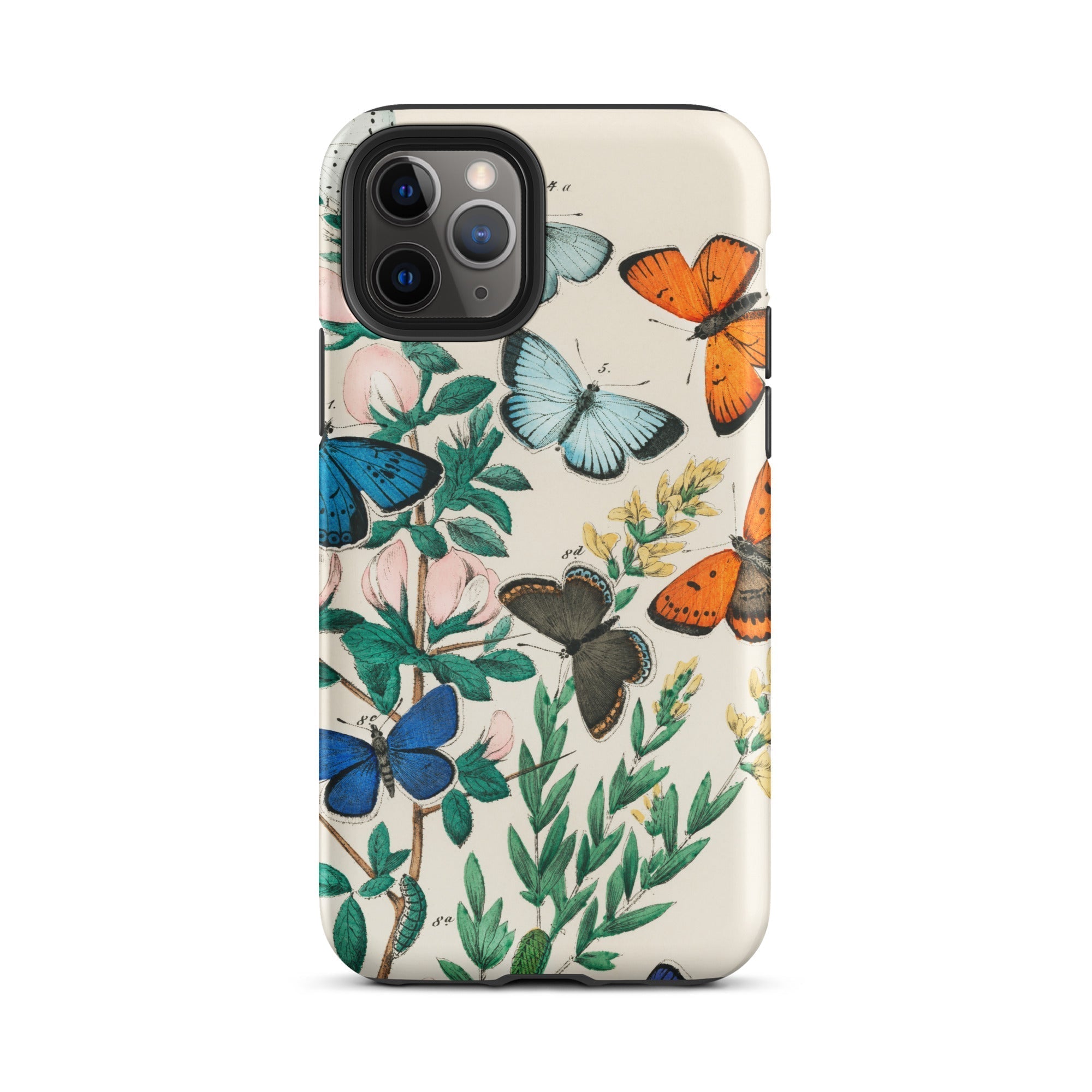 European Butterflies & Moths William Forsell Kirby Iphone Case, 11 Pro / Matte, Butterfly Patterned Phone Case