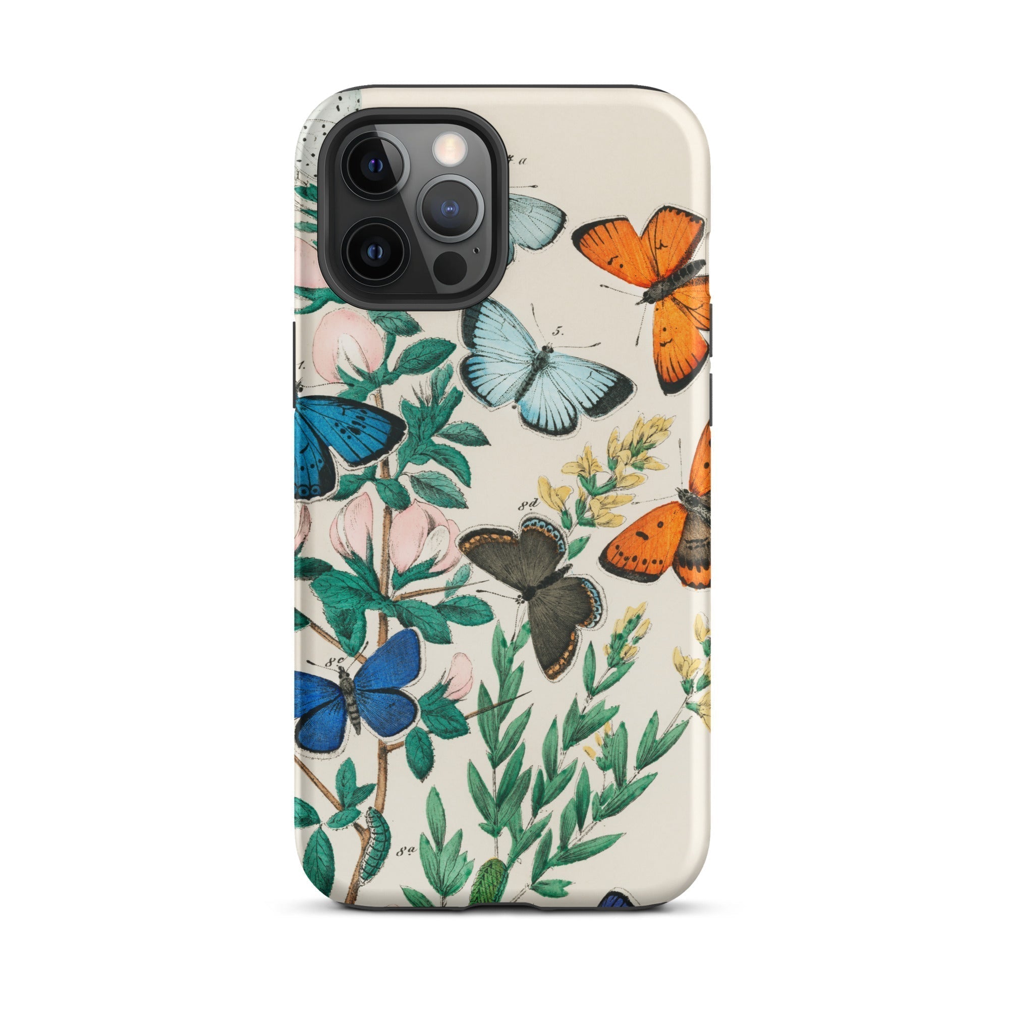European Butterflies & Moths William Forsell Kirby Iphone Case, 12 Pro Max / Matte, Butterfly Patterned Phone Case
