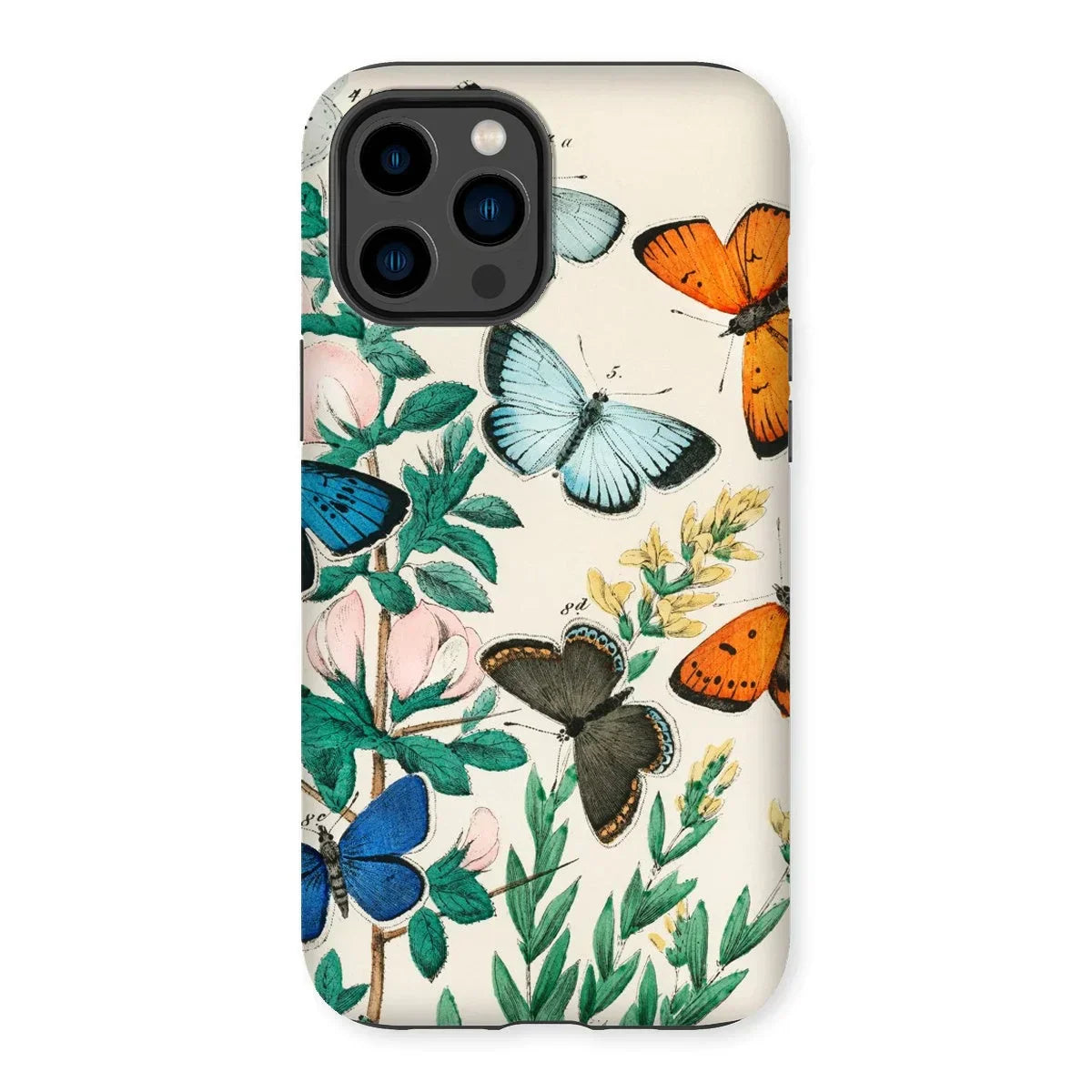 European Butterflies & Moths - William Forsell Kirby Iphone Case, 14 Pro Max / Matte, Decorative Iphone Case Colorful Butterfly Floral