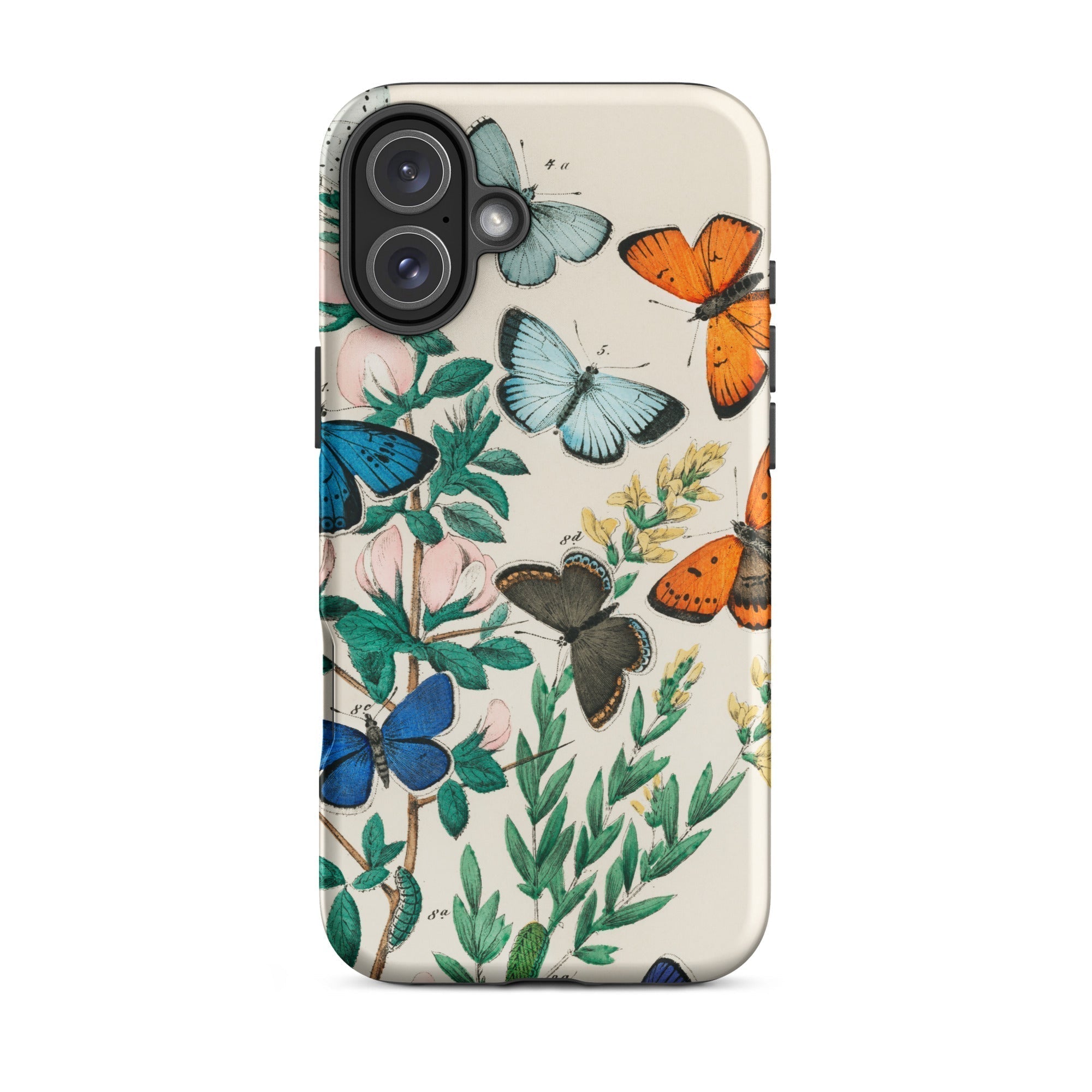 European Butterflies & Moths William Forsell Kirby Iphone Case, 16 Plus / Matte, Butterfly Patterned Phone Case