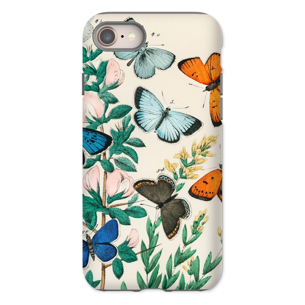 European Butterflies & Moths William Forsell Kirby Iphone Case, 8 / Matte, Phone Case Colorful Butterfly Floral Design