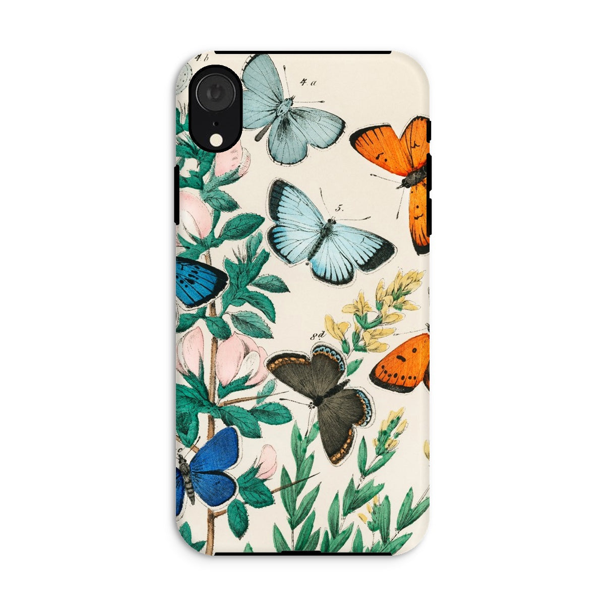 European Butterflies & Moths William Forsell Kirby Iphone Case, Xr / Matte, Phone Case Colorful Butterfly Floral Design