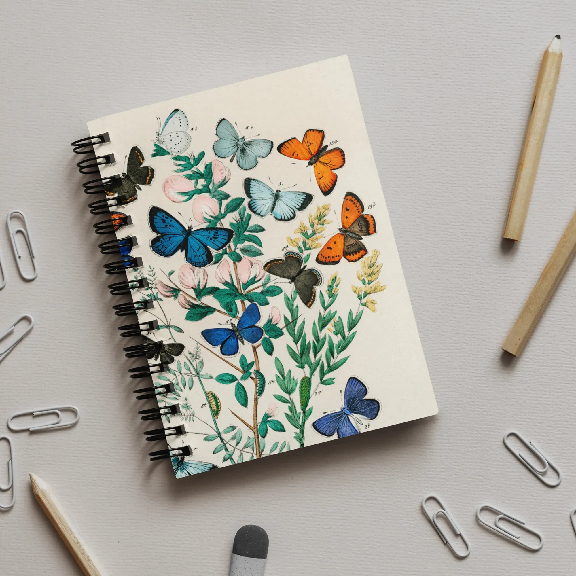 European Butterflies And Moths - William Forsell Kirby Notebook - Notebooks & Notepads - Aesthetic Art