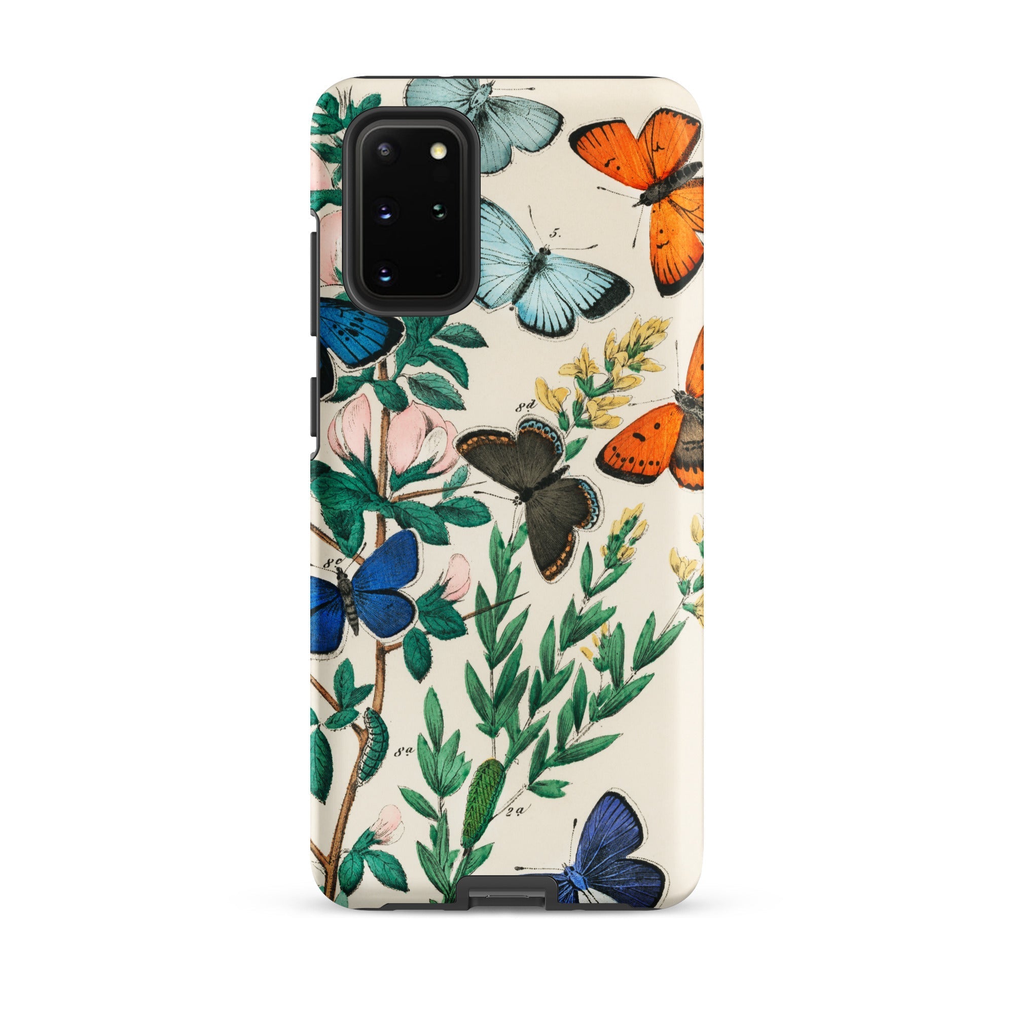 European Butterflies & Moths William Forsell Kirby Samsung Case, Galaxy S20 Plus / Matte, Smartphone Case Butterfly Botanical Illustration
