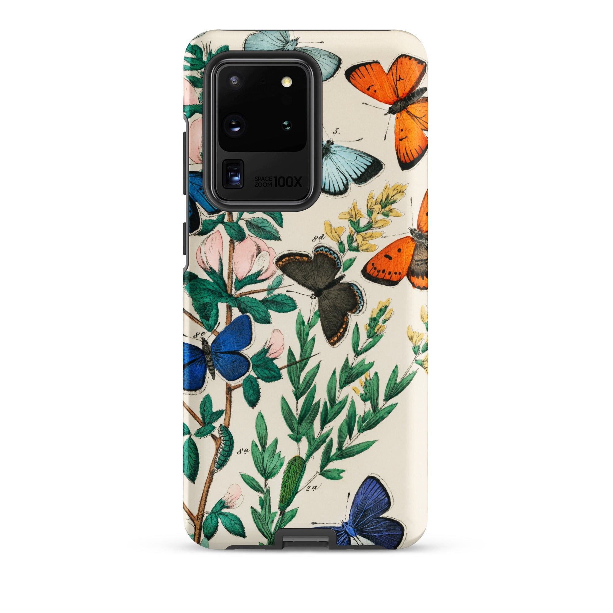 European Butterflies & Moths William Forsell Kirby Samsung Case, Galaxy S20 Ultra / Matte, Phone Case Botanical Butterfly Print