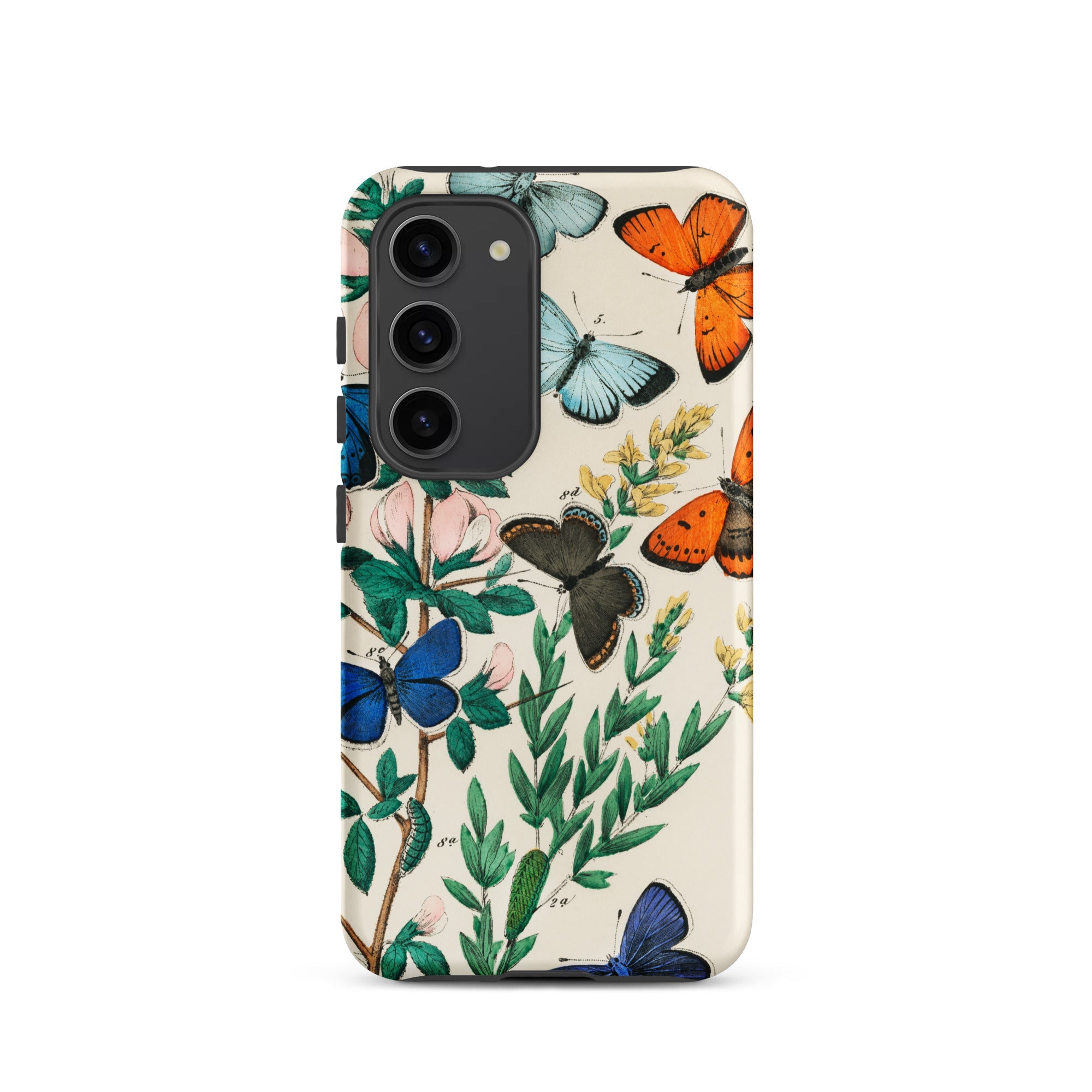 European Butterflies & Moths William Forsell Kirby Samsung Case, Galaxy S23 / Matte, Smartphone Case Adorned Vibrant Butterfly Botanical