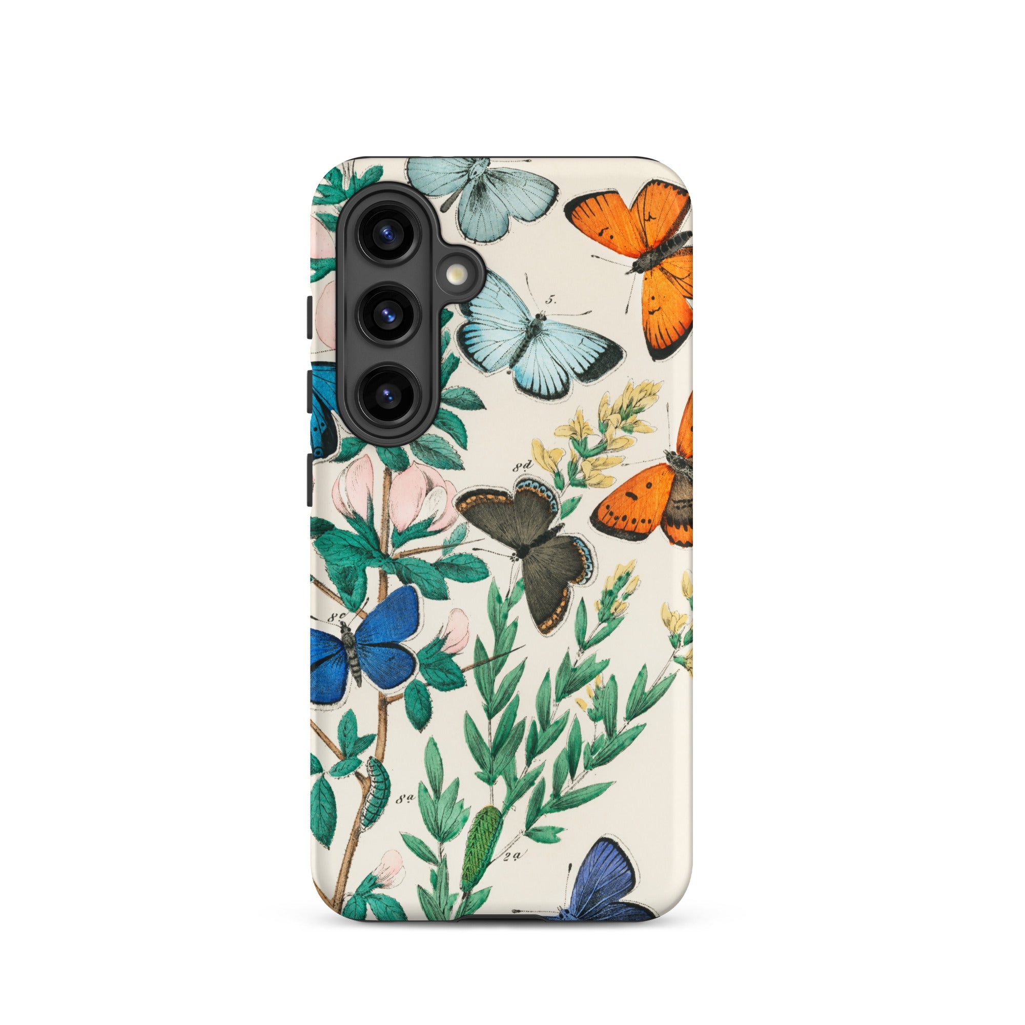 European Butterflies & Moths William Forsell Kirby Samsung Case, Galaxy S24 / Matte, Smartphone Case Botanical Butterfly Pattern