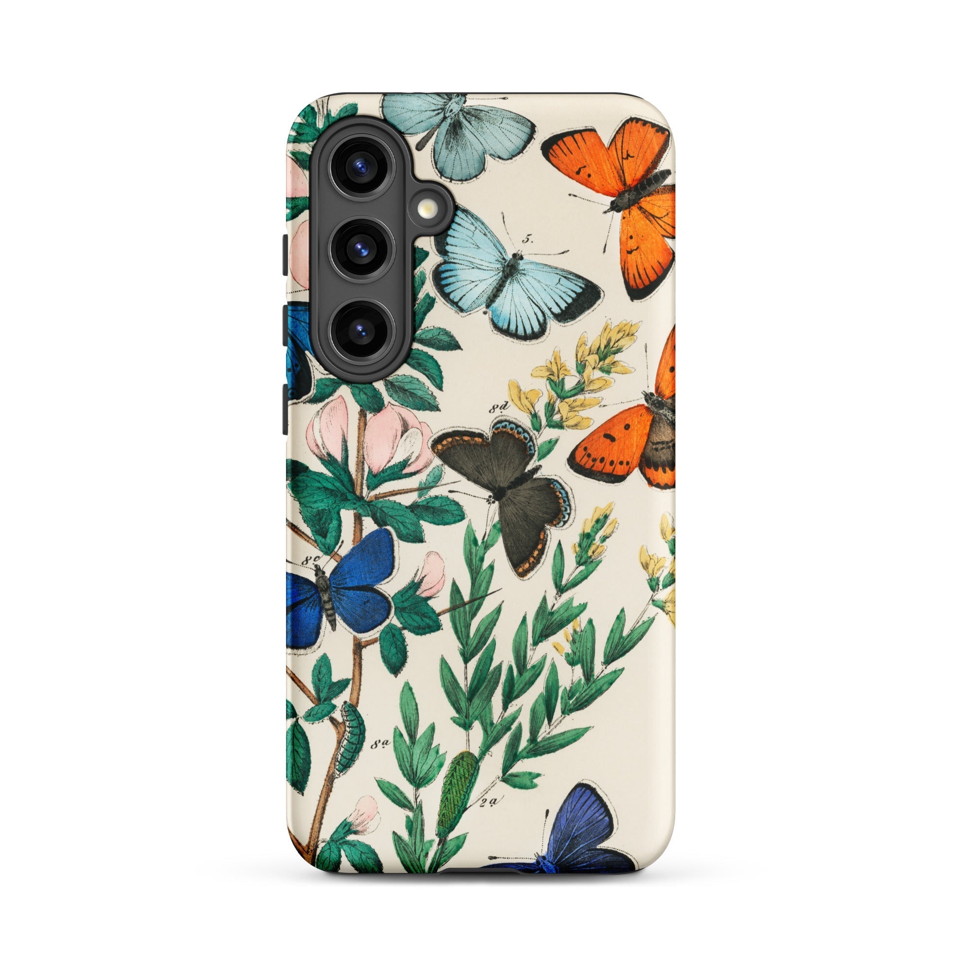 European Butterflies & Moths William Forsell Kirby Samsung Case, Galaxy S24 Plus / Matte, Smartphone Case Colorful Butterfly Botanical Print