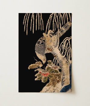 Elegant Black-and-gold Japanese Woodblock Print Detailed Bird Perched Isoda Koryusai’s Falcon, Stone-rubbing Style Called, Ishizuri-e,