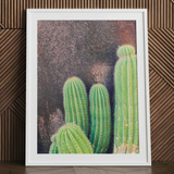 Modern cactus art print in white frame.
