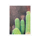 Family Affair - Modern Cactus Art Print, Bright Green Barrel Cacti Prominent Vertical Ridges Spines