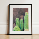 Family Affair - Modern Cactus Art Print / Canvas, 12x16’’ / 31x41cm / Black Frame / Matboard, Posters Prints & Visual Artwork, Toby Leon