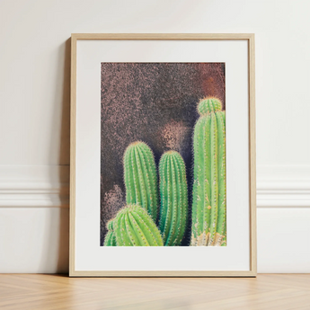 Family Affair - Modern Cactus Art Print / Canvas, 12x16’’ / 31x41cm / Natural Frame / Matboard, Posters Prints & Visual Artwork, Toby Leon
