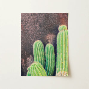 Family Affair - Modern Cactus Art Print / Canvas, 12x16’’ / 31x41cm / Unframed / no Border, Posters Prints & Visual Artwork, Toby Leon