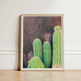 Framed Print Vibrant Green Cacti Spines Textured Dark Desert Drama, Modern Cactus Photography, Spiky Adventure