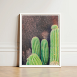 Framed Print Vibrant Green Cacti Spines Textured Dark Desert Drama, Modern Cactus Photography, Spiky Adventure