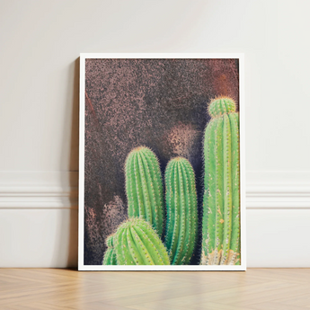 White-framed Art Print Vibrant Green Cacti Textured Dark Framed Desert Drama, Modern Cactus Photography, Spiky Adventure