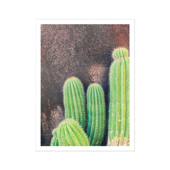 Family Affair - Modern Cactus Art Print / Canvas Bright Green Barrel Cacti Prominent Vertical Ridges Spines Framed Desert Drama, Modern