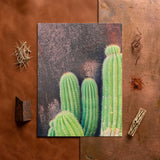 Rectangular Poster Vibrant Green Cactus Spines Textured Dark Framed Desert Drama, Modern Photography, Spiky Adventure