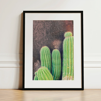 Family Affair - Modern Cactus Art Print / Canvas Framed Photograph Vibrant Green Cacti Spines Textured Earthy-toned Desert Drama, Modern