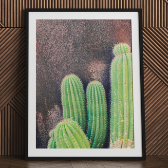 Family Affair - Modern Cactus Art Print / Canvas Framed Photographic Print Vibrant Green Cacti Spines Textured Desert Drama, Modern Cactus