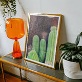 Family Affair - Modern Cactus Art Print, Framed Photograph Green Cactus Plants Dark Background