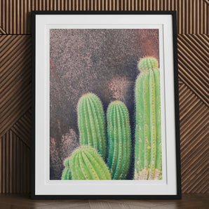 Family Affair - Modern Cactus Art Print, Framed Photograph Vibrant Green Columnar Cacti Textured Dark