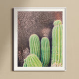Family Affair - Modern Cactus Art Print, Green Saguaro Cacti Prominent Spines Ridges