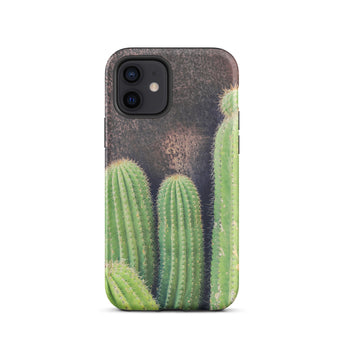 Family Affair - Modern Cactus Iphone Case 12 / Matte Cactus-themed Phone Case Striking Iphone Case, Modern Cactus Photography, Photography