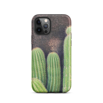 Family Affair - Modern Cactus Iphone Case, 12 Pro / Matte, Cactus-themed Phone Case