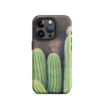 Family Affair - Modern Cactus Iphone Case, 15 Pro / Matte, Cactus-themed Smartphone Case