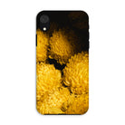 Field of Dreams Chrysanthemums Iphone Case, Xr / Matte, Phone Case Close Up Image Bright Yellow Chrysanthemum Flowers
