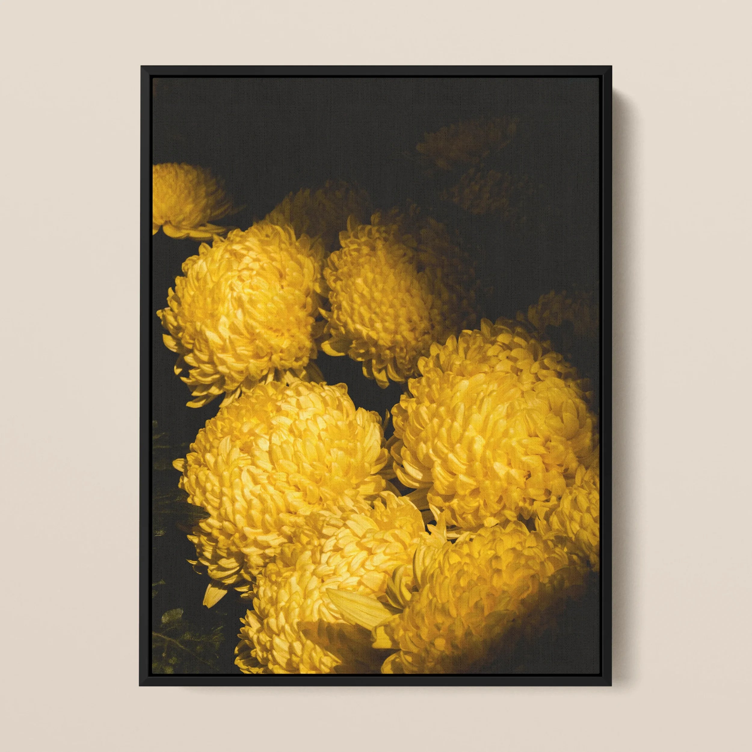 Field of Dreams - Golden Chrysanthemums Framed Canvas Posters Prints & Visual Artwork