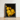 Framed Photograph Vibrant Yellow Chrysanthemums Dark Background Enclosed Vietnam’s Floral Legacy, Art Print, Chiaroscuro Drama