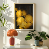 Field of Dreams - Vietnam Chrysanthemums Art Print, Framed Artwork Vibrant Yellow Chrysanthemums