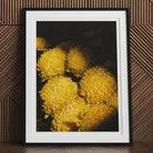 Field of Dreams - Vietnam Chrysanthemums Art Print