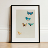 Five Butterflies - Odilon Redon Art Print / Canvas Framed Watercolor Artwork Five Colorful Butterflies Blue Yellow Odilon Redon, Invisible