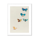 Five Butterflies Odilon Redon Art Print, Framed Butterfly Watercolor Painting