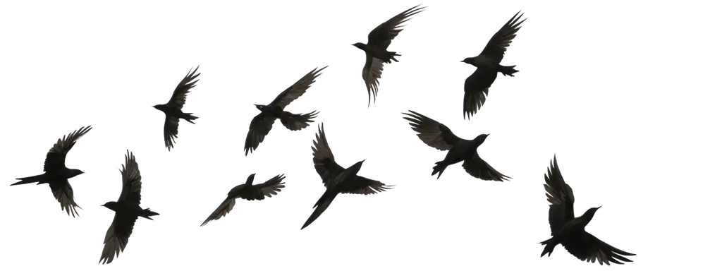 Flock of bats art print by Taguchi Tomoki from Kōno Bairei Japanese bird art collection